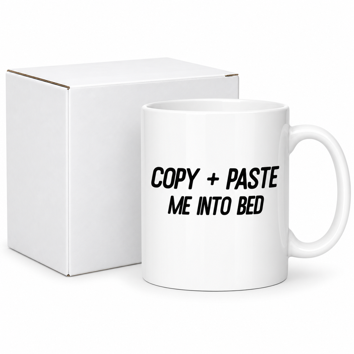 Copy and Paste Me Into Bed ceramic mug with protective white presentation box
